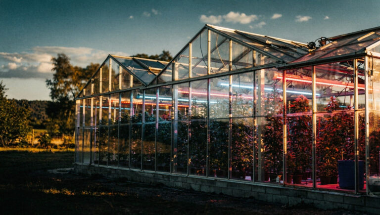 The AI Maturity Matrix: Where Cannabis AI Actually Works in 2026