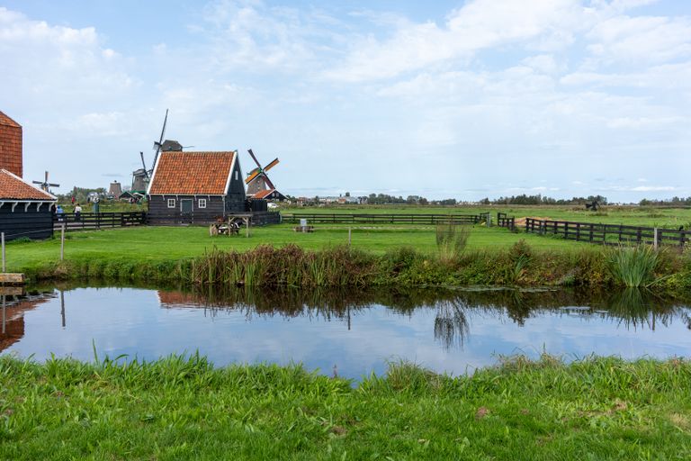 Beautiful rural landscape in Zaandam, Netherlands featuring iconic windmills and serene ponds.